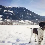 Kogler * フューゲン